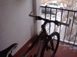 DSC02365.jpg