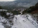 Foto0824.jpg