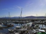 DSC00279.jpg
