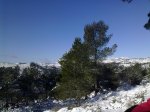 09012010492.jpg