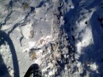 09012010491.jpg