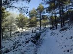 09012010495.jpg