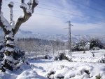 Subida al Naranco con nieve (10-01-2010) 004.jpg
