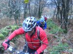 DSC00292.jpg