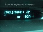 pardo 1.jpg
