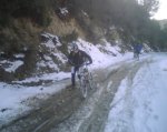 IMG00147.jpg