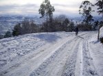 Subida al Naranco con nieve (10-01-2010) 015.jpg