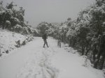 DSCN2721.jpg