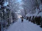 DSC04985.jpg