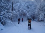 DSC05017.jpg
