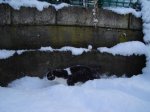DSC05019.jpg