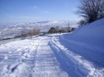 Subida al Naranco con nieve (10-01-2010) 021.jpg