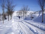 Subida al Naranco con nieve (10-01-2010) 028.jpg