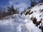 Subida al Naranco con nieve (10-01-2010) 057.jpg