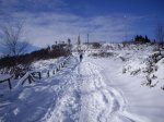 Subida al Naranco con nieve (10-01-2010) 051.jpg