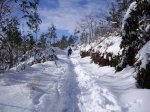 Subida al Naranco con nieve (10-01-2010) 053.jpg