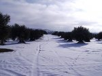 IMG_0056.JPG