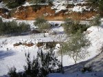 PICT0017.JPG