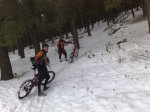 10012010961.jpg