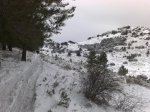 10012010962.jpg