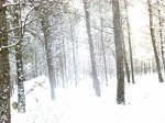 10012010970.jpg