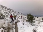 10012010976.jpg