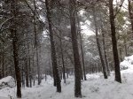 10012010971.jpg