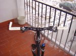 DSC02364.jpg