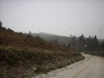 DSCI1239.jpg