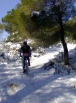 10012010480.jpg