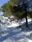 10012010479.jpg