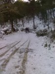 10012010482.jpg