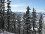 SDC10059.jpg