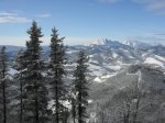 SDC10058.jpg