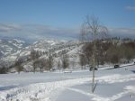 SDC10064.jpg