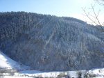 SDC10066.jpg