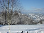 SDC10065.jpg