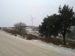 10012010093.jpg