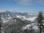 SDC10057.jpg
