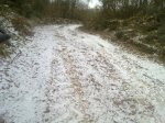 11012010131.jpg