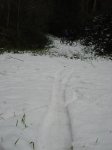 DSC04830.jpg