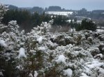 DSC04834.jpg