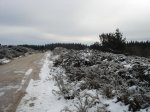 DSC04833.jpg