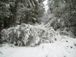 DSCN2308.jpg