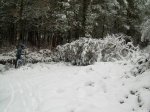 DSCN2305.jpg