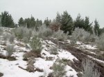 DSCN2301.jpg