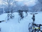 100_4295.jpg