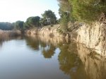 DSCN4322.jpg
