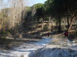 DSCN4328.jpg