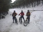 10012010225.jpg